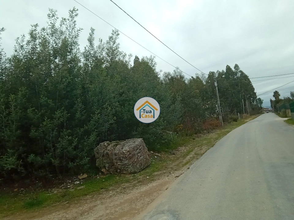 Terreno para Venda em Águeda e Borralha Foto 5