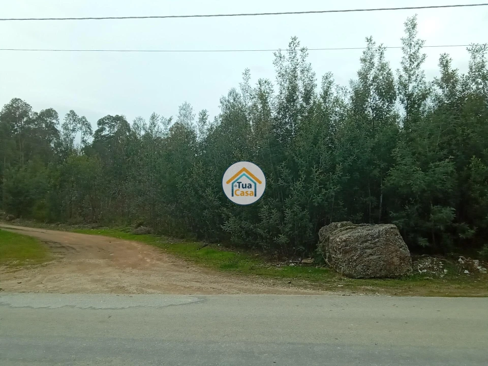 Terreno para Venda em Águeda e Borralha Foto 12