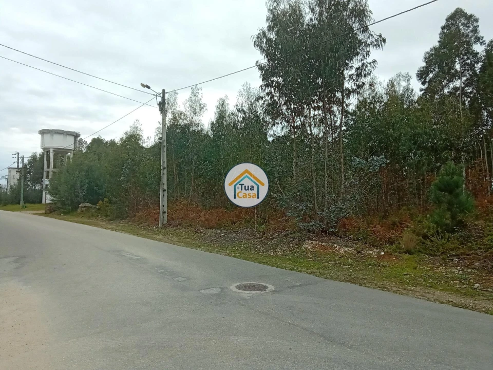 Terreno para Venda em Águeda e Borralha Foto 6