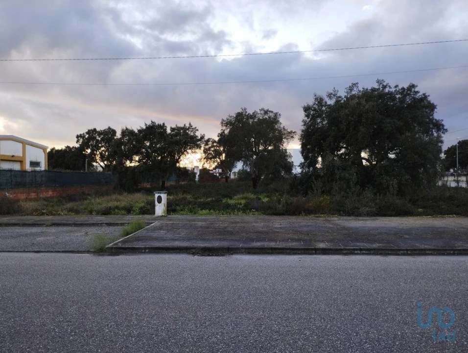 Terreno para Venda em Ponte de Sor, Tramaga e Vale de Açor Foto 3