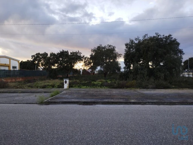 Terreno para Venda em Ponte de Sor, Tramaga e Vale de Açor Foto 3