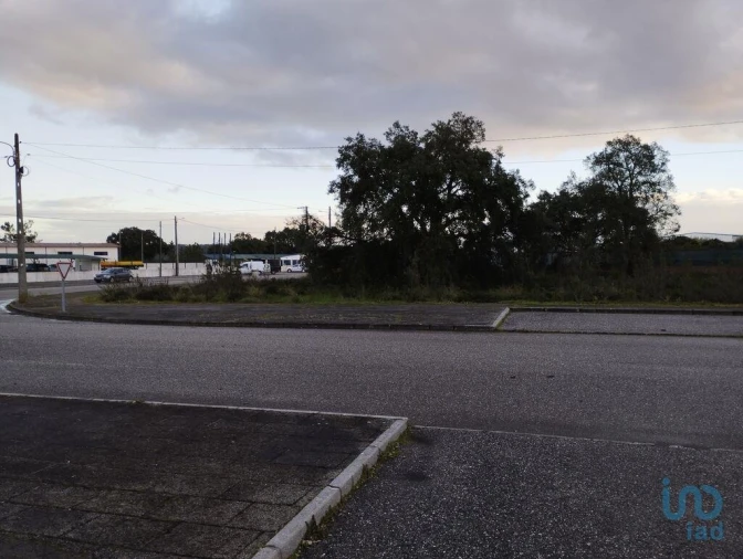 Terreno para Venda em Ponte de Sor, Tramaga e Vale de Açor Foto 4