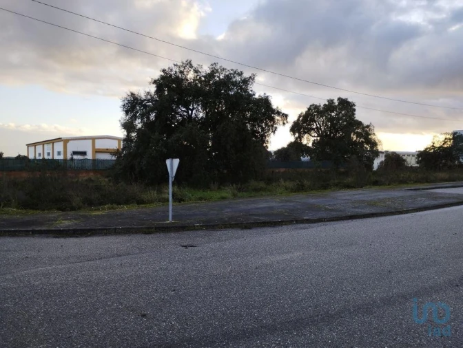 Terreno para Venda em Ponte de Sor, Tramaga e Vale de Açor Foto 6