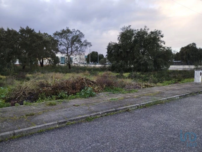 Terreno para Venda em Ponte de Sor, Tramaga e Vale de Açor Foto 2