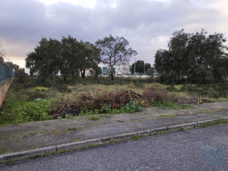 Terreno para Venda em Ponte de Sor, Tramaga e Vale de Açor Foto 7