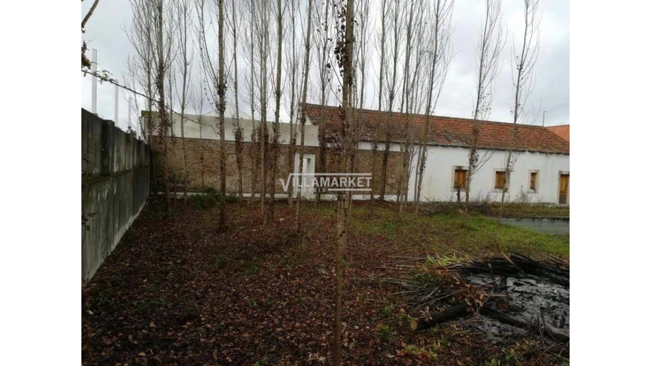 Quinta T6 para Venda em Santa Margarida da Coutada Foto 2