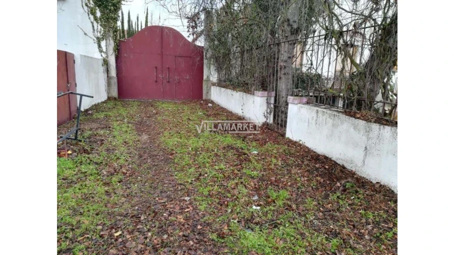 Quinta T6 para Venda em Santa Margarida da Coutada Foto 3