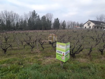 Terreno para Venda em Sabugal e Aldeia de Santo António