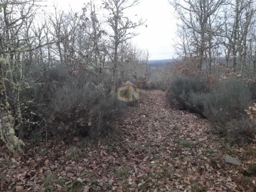 Terreno para Venda em Sabugal e Aldeia de Santo António