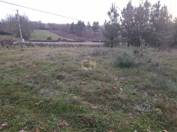 Terreno para Venda em Sabugal e Aldeia de Santo António