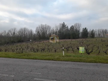 Terreno para Venda em Sabugal e Aldeia de Santo António