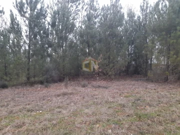 Terreno para Venda em Sabugal e Aldeia de Santo António