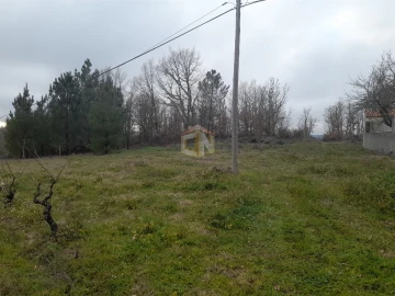 Terreno para Venda em Sabugal e Aldeia de Santo António