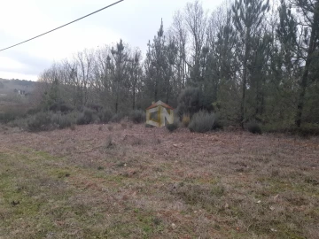 Terreno para Venda em Sabugal e Aldeia de Santo António