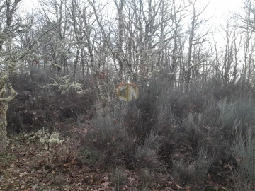 Terreno para Venda em Sabugal e Aldeia de Santo António