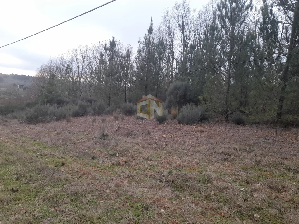 Terreno para Venda em Sabugal e Aldeia de Santo António Foto 11