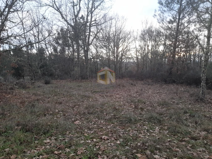 Terreno para Venda em Sabugal e Aldeia de Santo António Foto 12