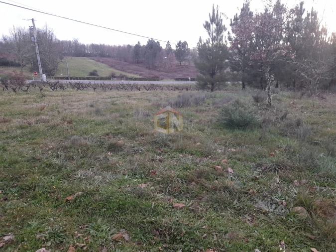 Terreno para Venda em Sabugal e Aldeia de Santo António Foto 16