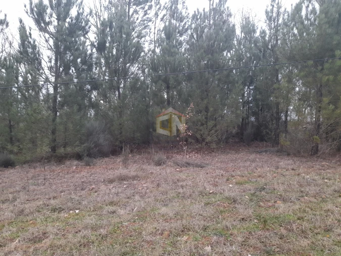 Terreno para Venda em Sabugal e Aldeia de Santo António Foto 10