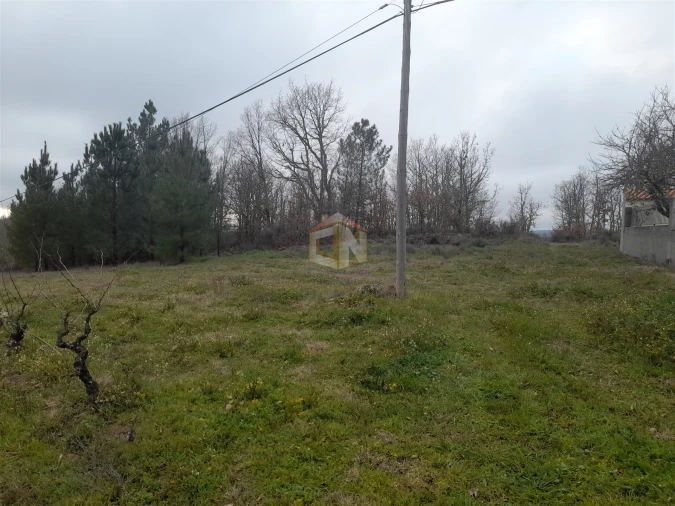 Terreno para Venda em Sabugal e Aldeia de Santo António Foto 9