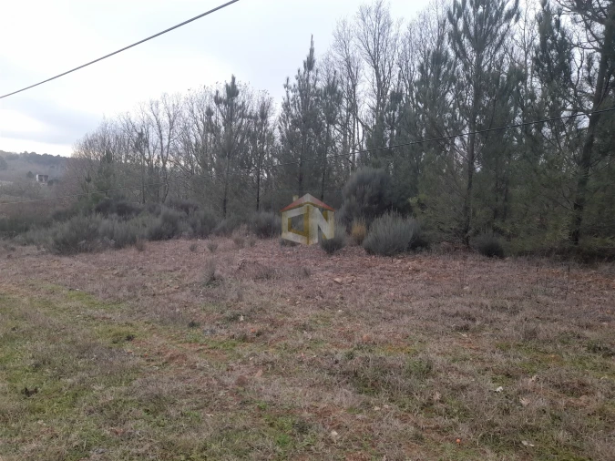 Terreno para Venda em Sabugal e Aldeia de Santo António Foto 11