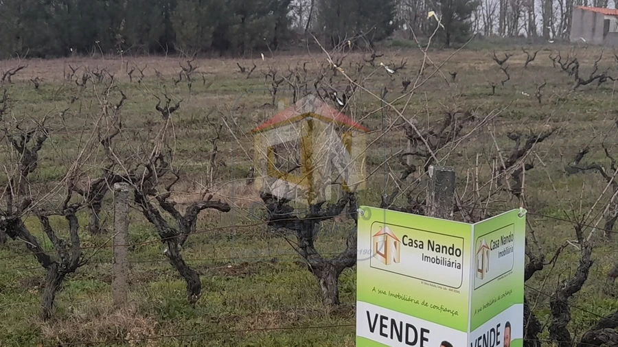 Terreno para Venda em Sabugal e Aldeia de Santo António