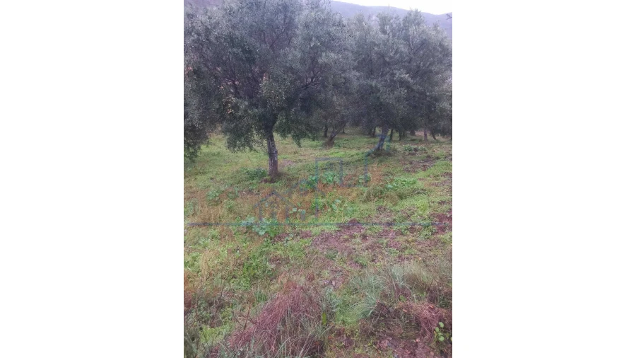 Quinta T0 para Venda em Carviçais Foto 14