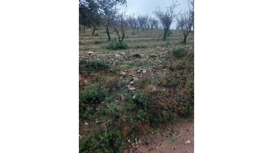 Quinta T0 para Venda em Carviçais Foto 5