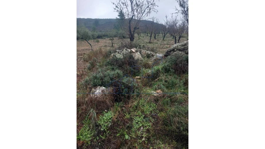Quinta T0 para Venda em Carviçais Foto 11