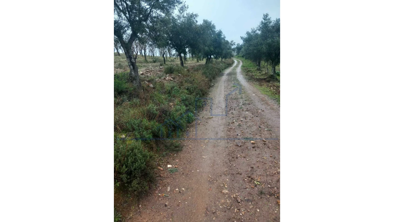 Quinta T0 para Venda em Carviçais Foto 12