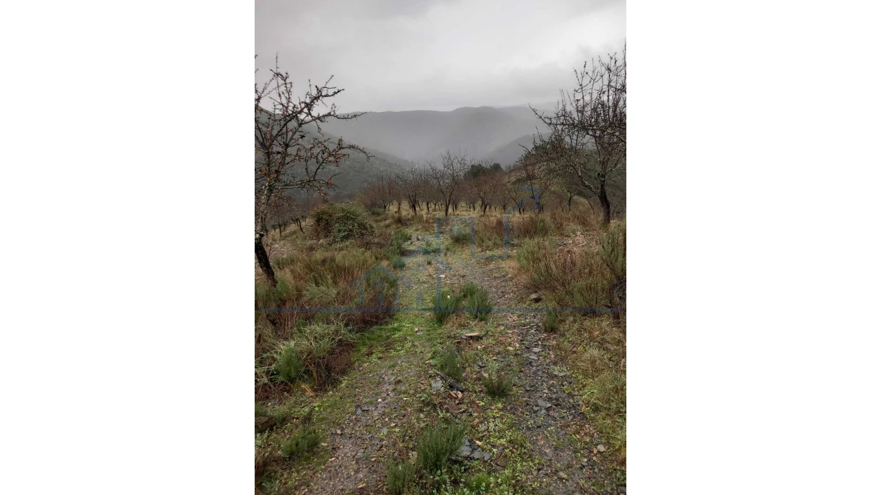 Quinta T0 para Venda em Carviçais Foto 10