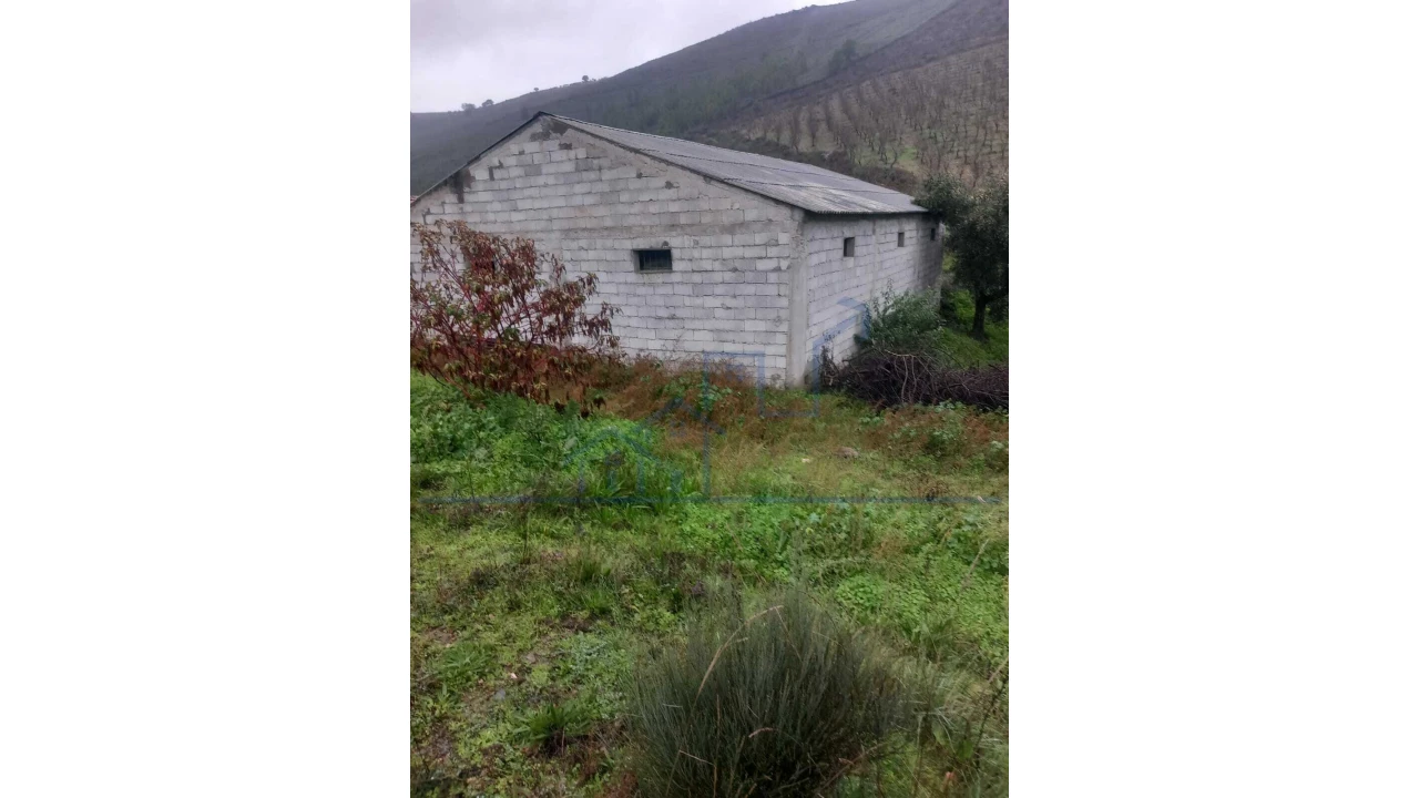 Quinta T0 para Venda em Carviçais Foto 3