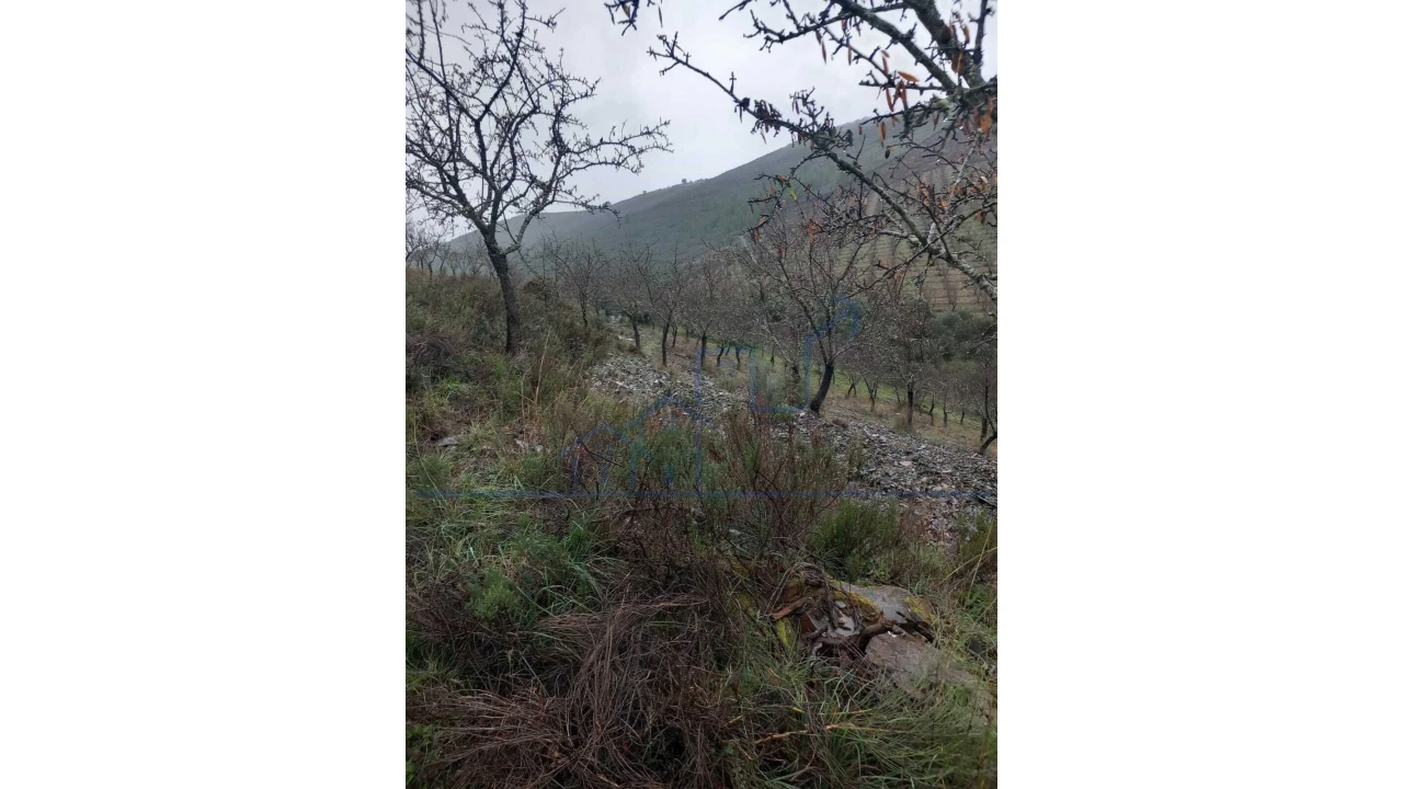 Quinta T0 para Venda em Carviçais Foto 8