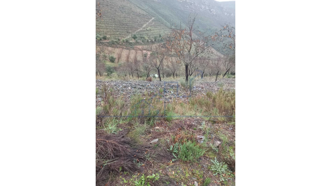 Quinta T0 para Venda em Carviçais Foto 4