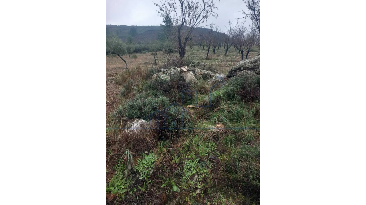 Quinta T0 para Venda em Carviçais Foto 11
