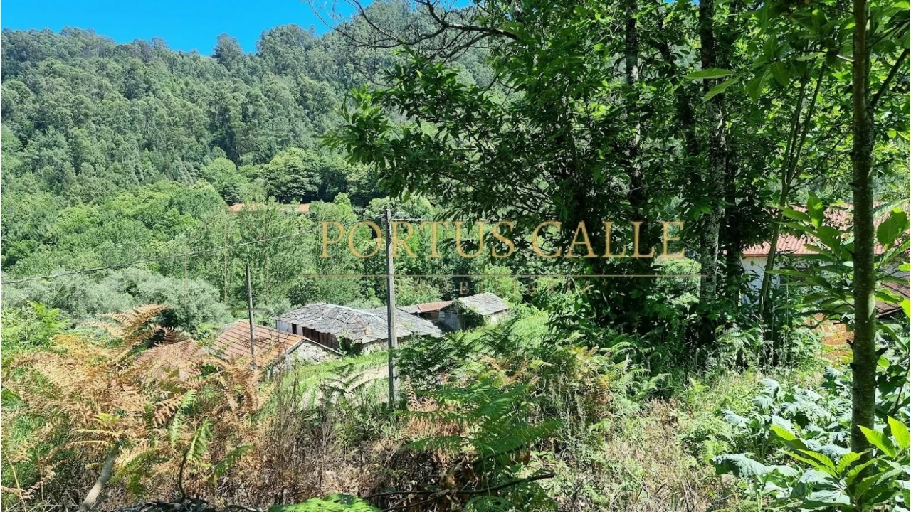 Quinta T0 para Venda em Moldes Foto 4