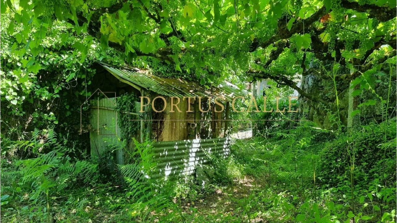 Quinta T0 para Venda em Moldes Foto 3