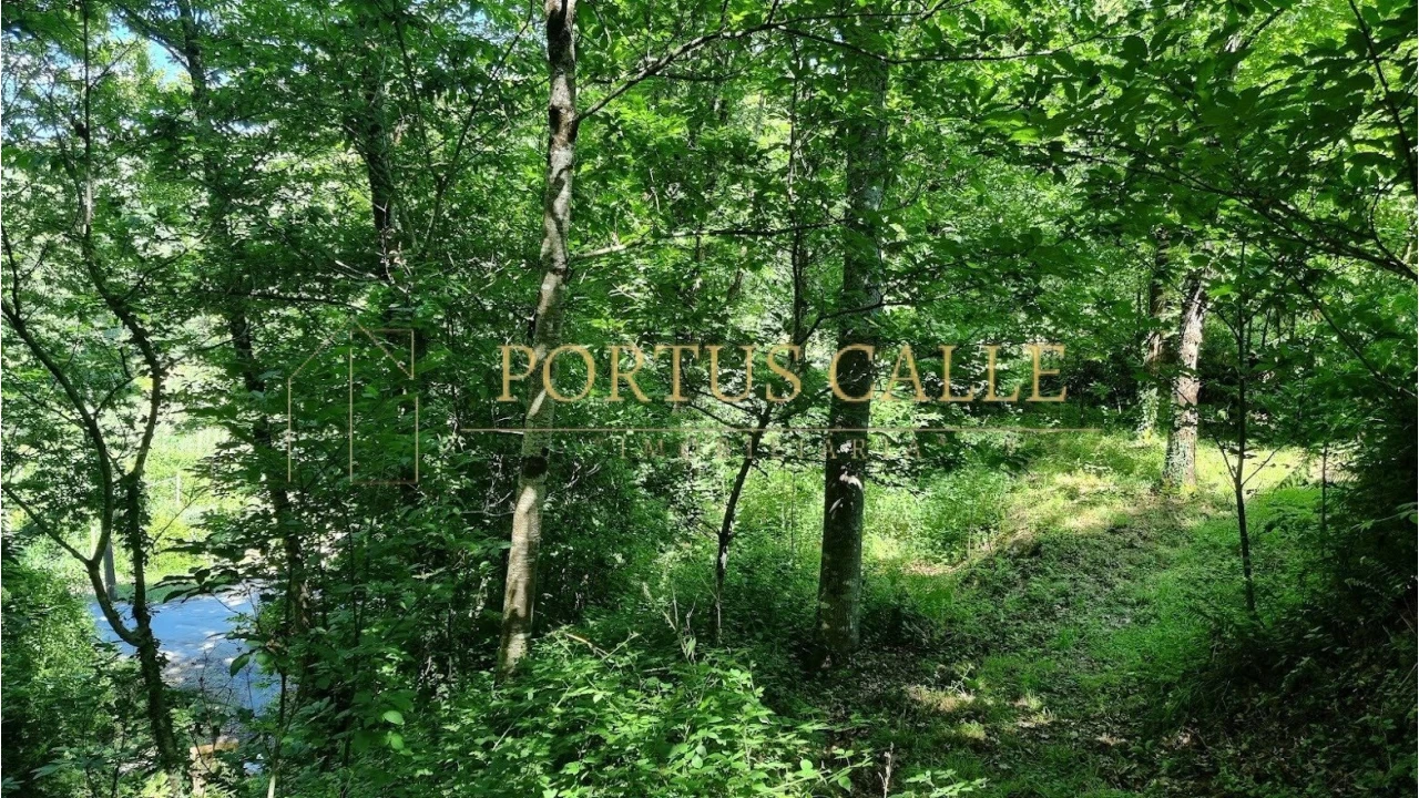 Quinta T0 para Venda em Moldes Foto 12