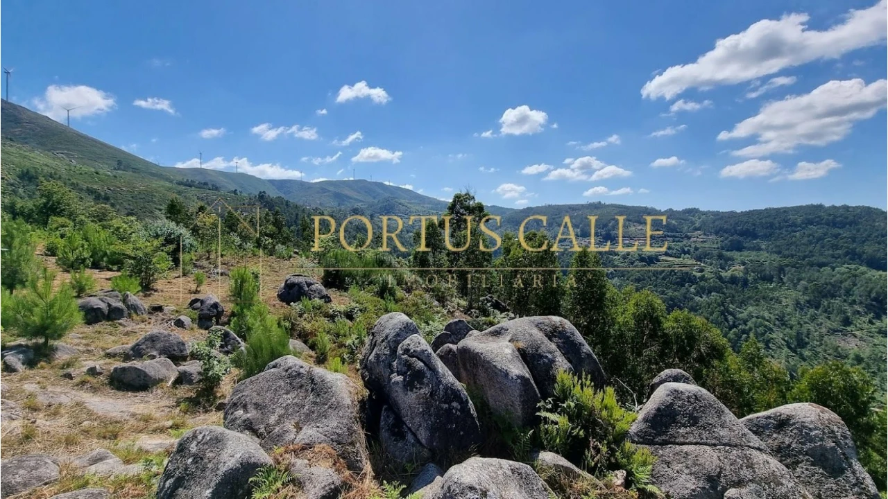 Quinta T0 para Venda em Moldes Foto 16