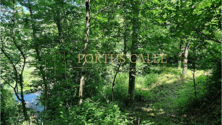 Quinta T0 para Venda em Moldes Foto 12