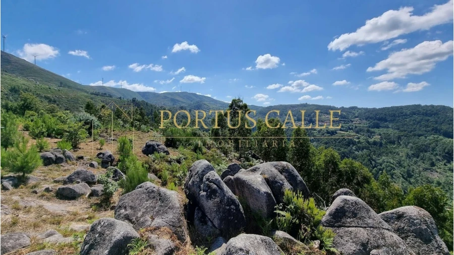 Quinta T0 para Venda em Moldes Foto 16