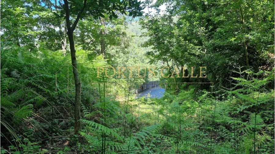 Quinta T0 para Venda em Moldes Foto 13