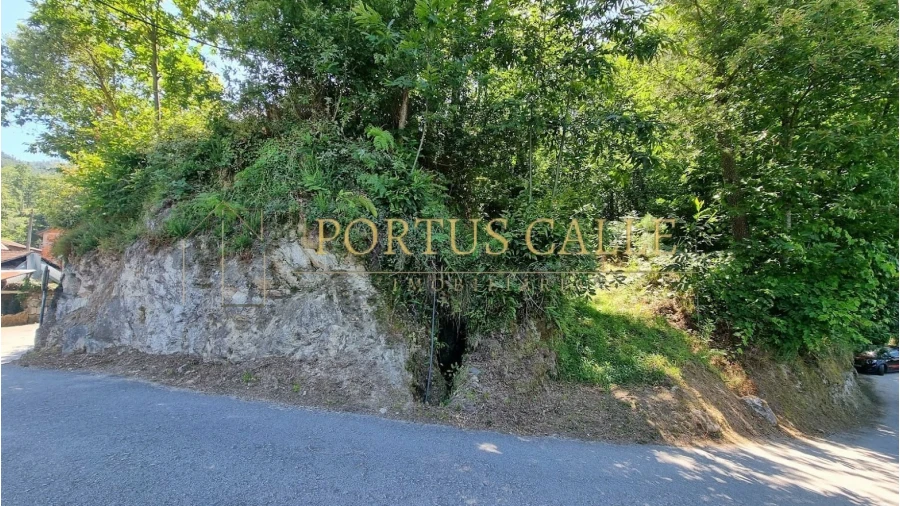 Quinta T0 para Venda em Moldes Foto 9