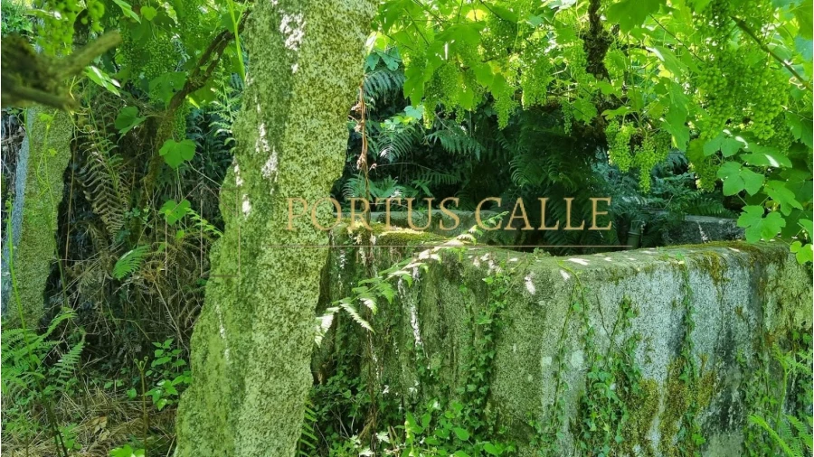 Quinta T0 para Venda em Moldes Foto 5