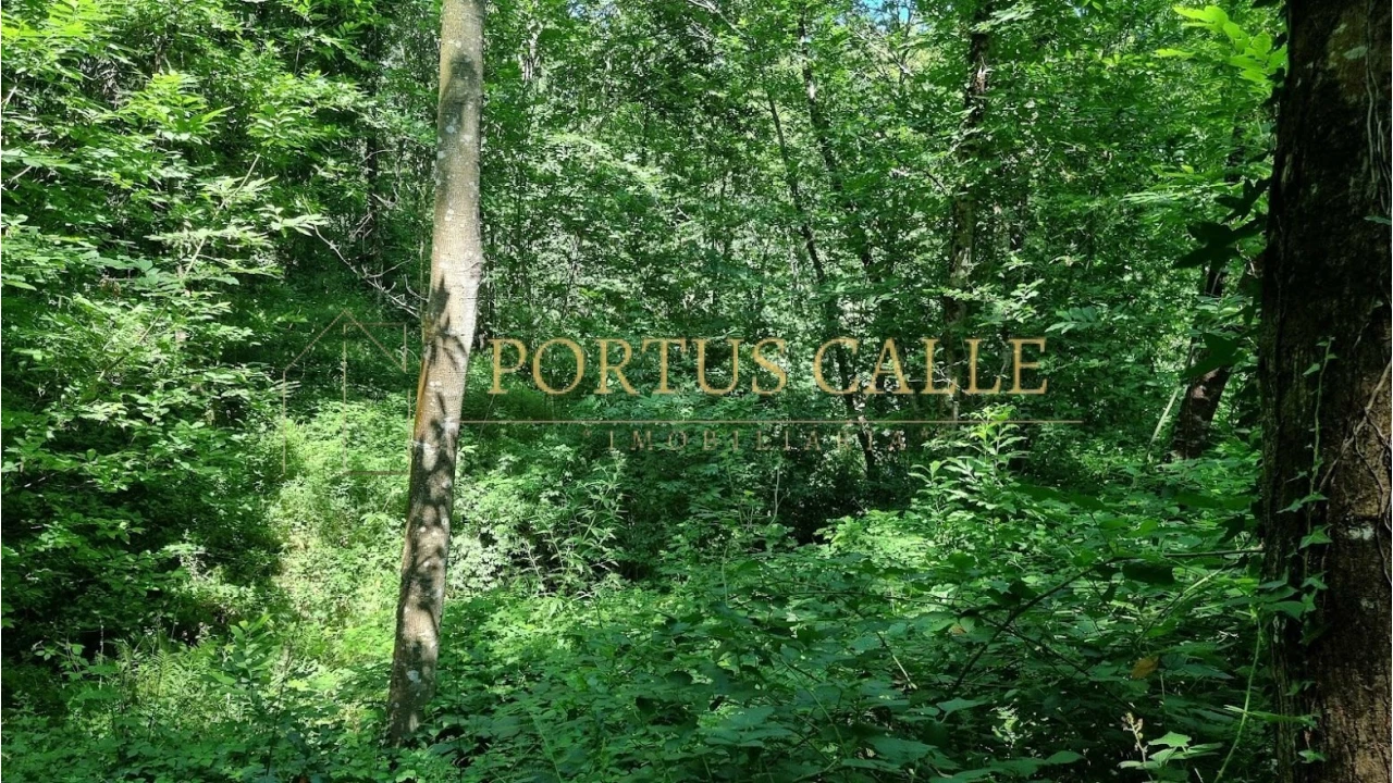 Quinta T0 para Venda em Moldes Foto 10