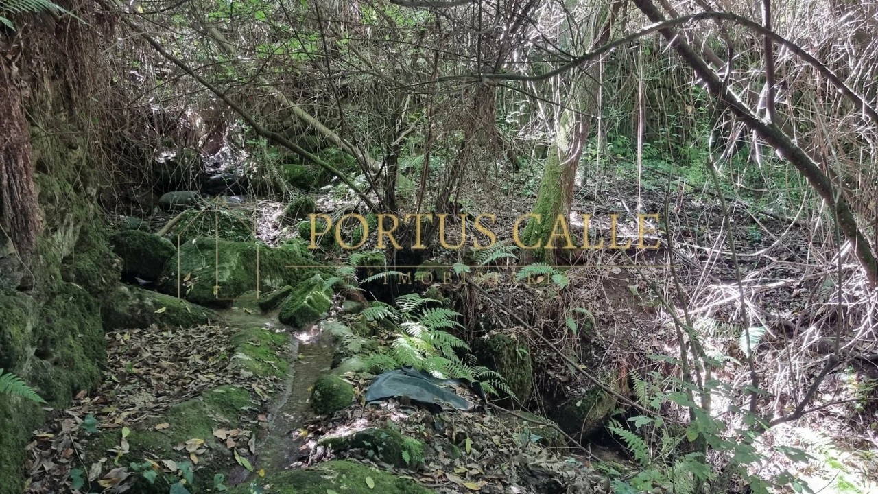 Quinta T0 para Venda em Moldes Foto 17