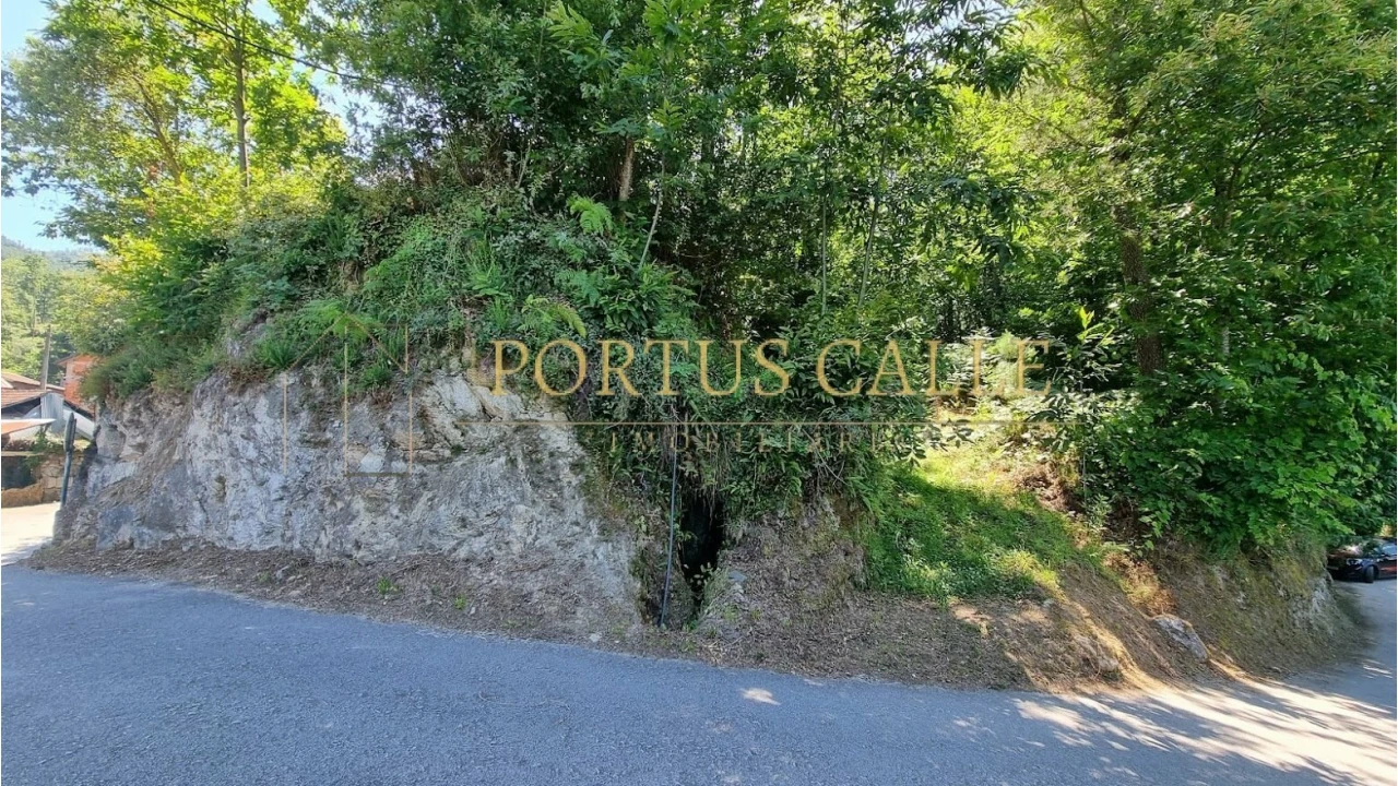 Quinta T0 para Venda em Moldes Foto 9