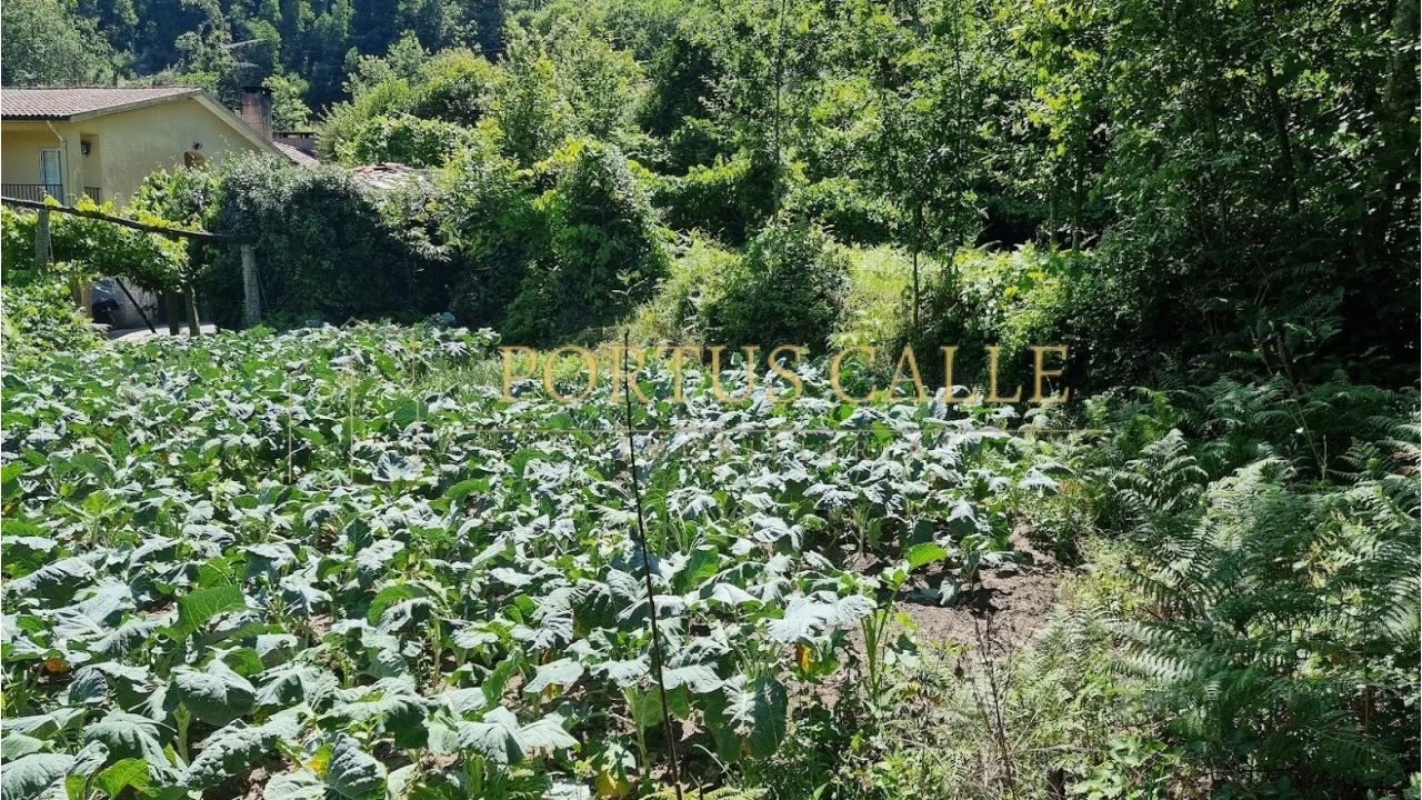 Quinta T0 para Venda em Moldes Foto 6