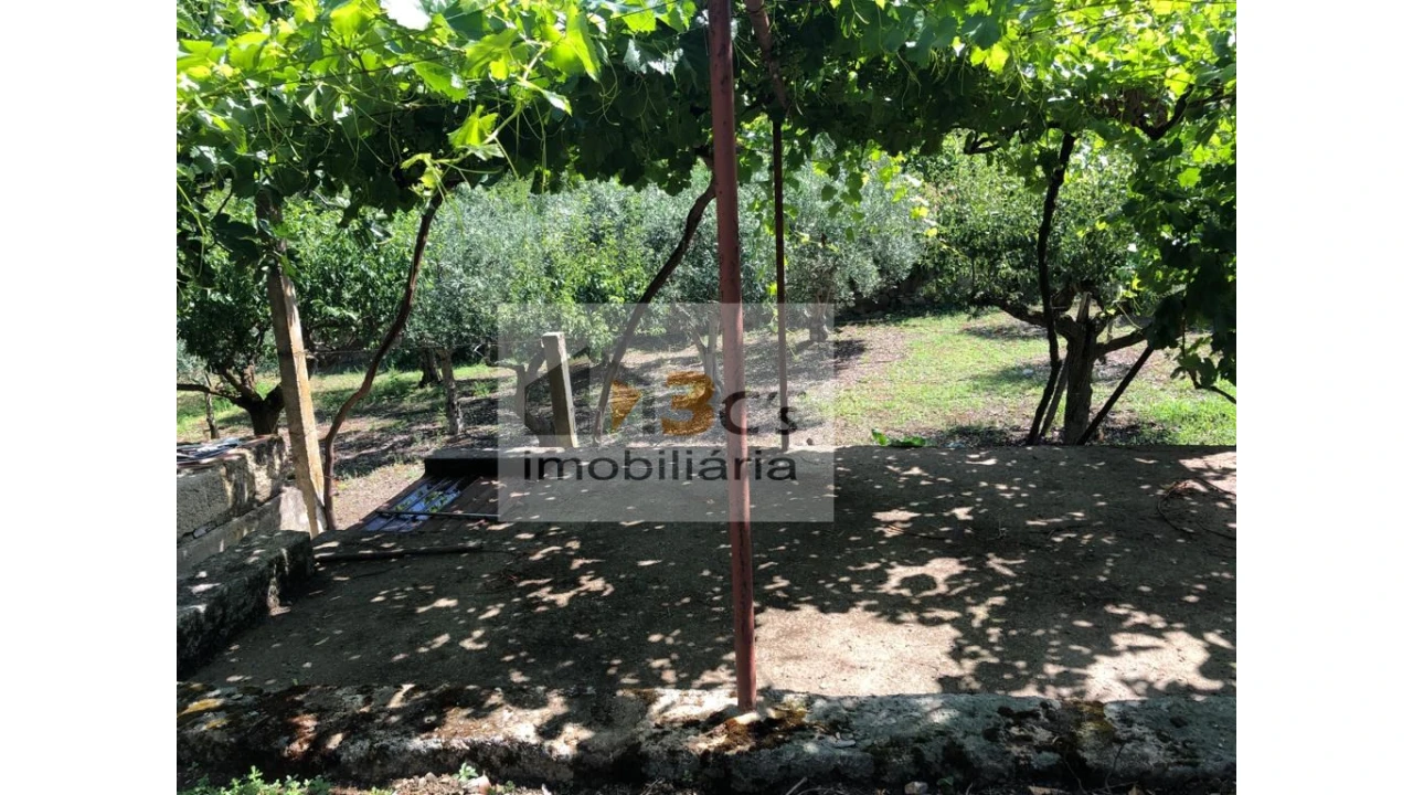 Quinta para Venda em Torre de Moncorvo Foto 4