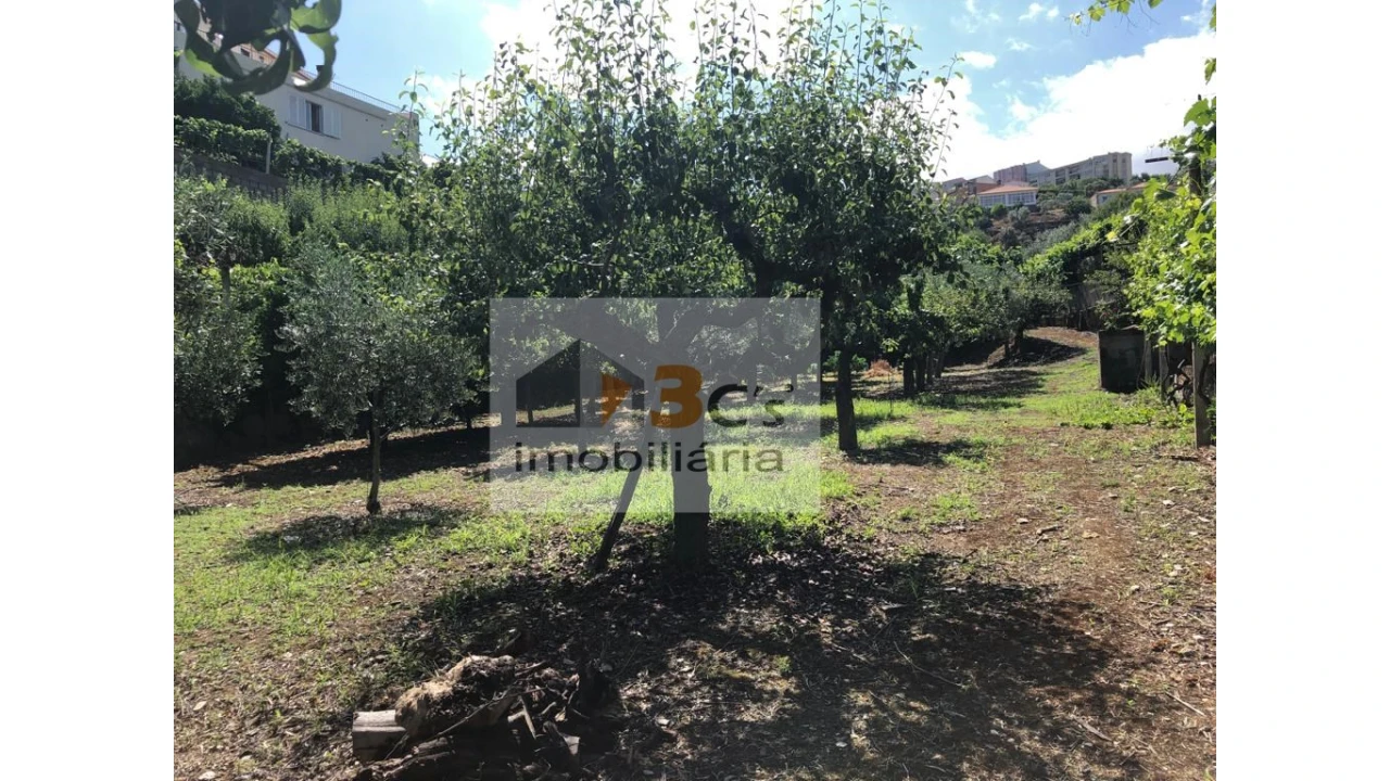 Quinta para Venda em Torre de Moncorvo Foto 19